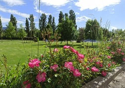 imagen jardín